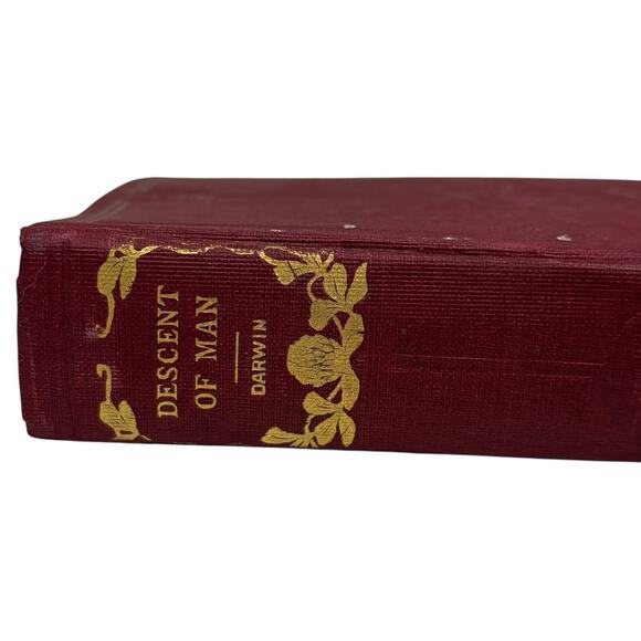 HC 1874 "The Descent of Man and Selection in Relation to Sex" Darwin Hurst & CO - Picture 6 of 16